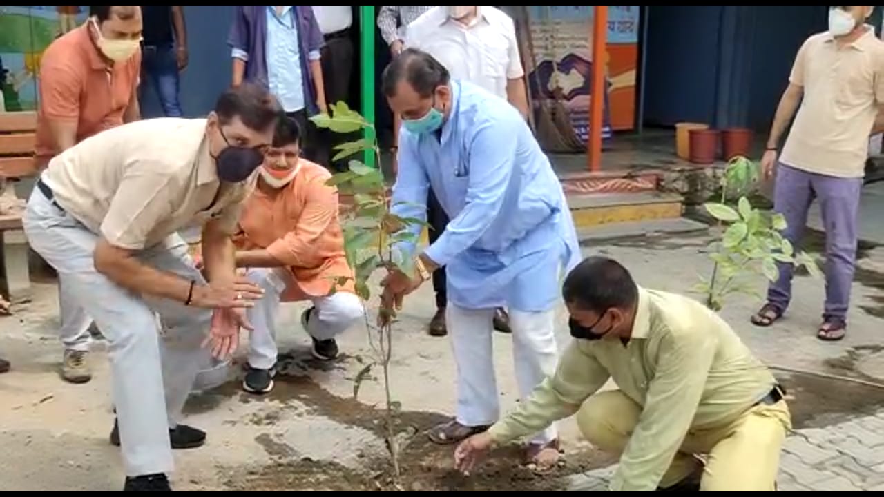 MLA planted sapling in Vanamotsav program in Bhajanpura School