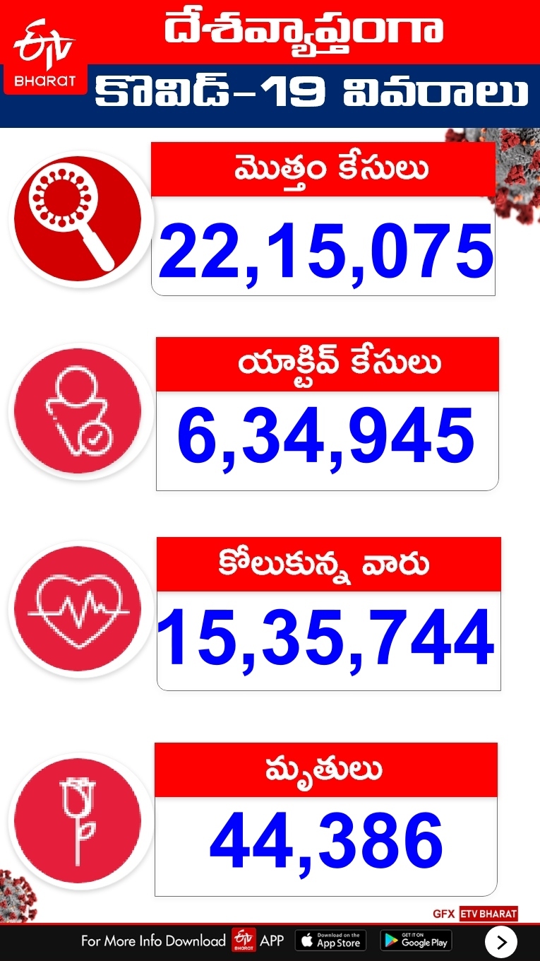 daily corona virus updates in the country