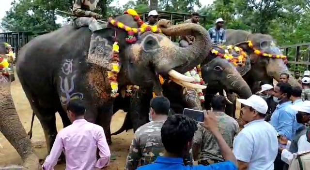 world-elephant-day-celebrated-at-ramkola-elephant-rescue-center-in-surajpur