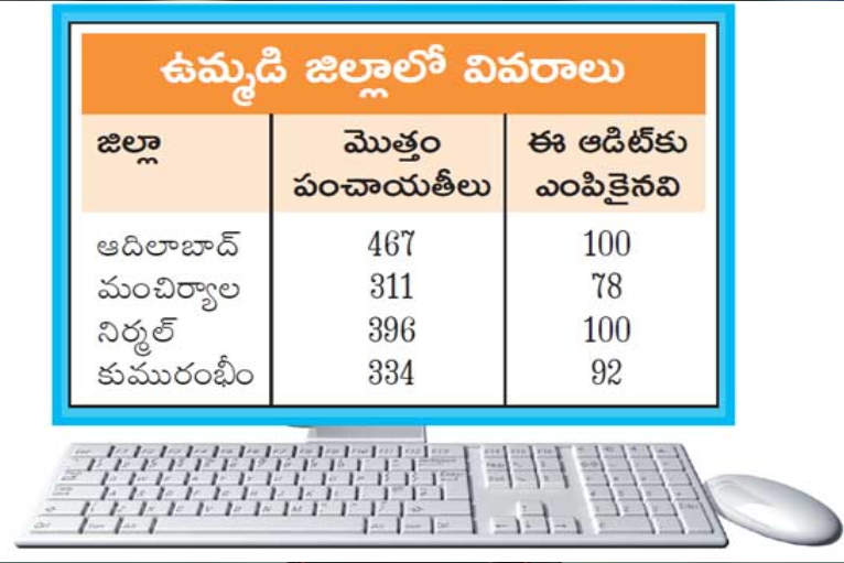 E-audit system in panchayats to improve transparency