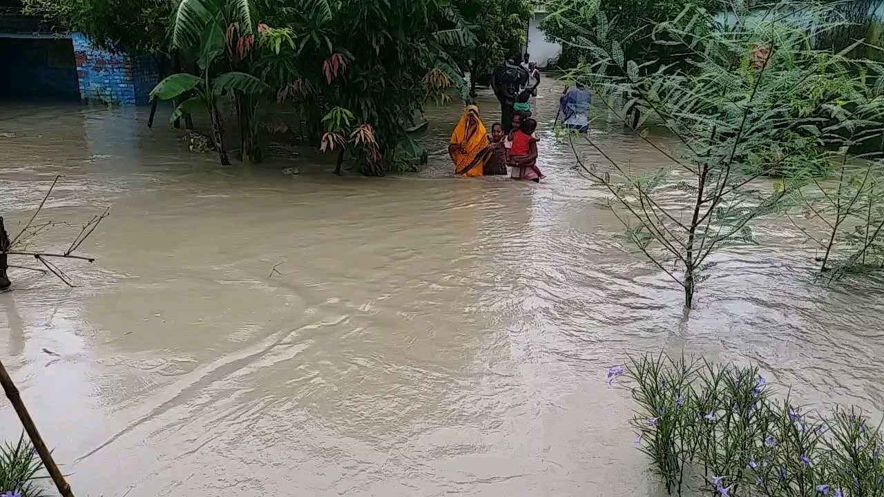 ईटीवी भारत के कैमरे में कैद बाढ़-2020