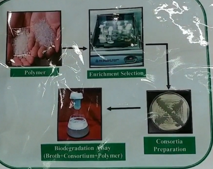 e waste disposal