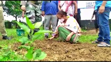 বৃক্ষৰোপন কাৰ্যসূচীত উপস্থিত থাকে মন্ত্ৰী প্ৰমিলাৰাণী ব্ৰহ্মও