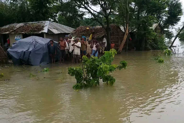 सीतामढ़ी की तस्वीर