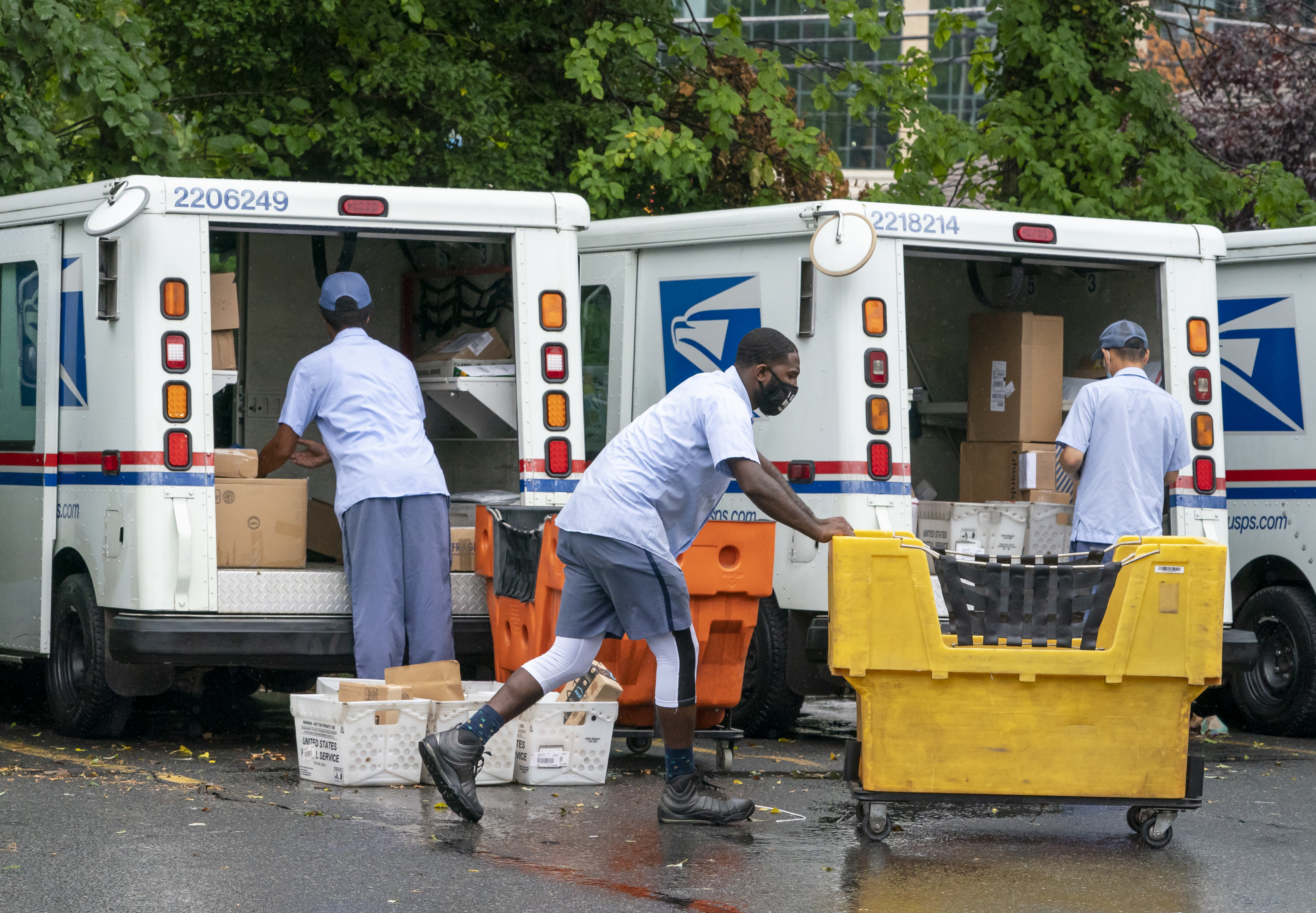 mail voting delays