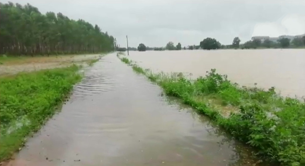 heavy rains batter northern states of india