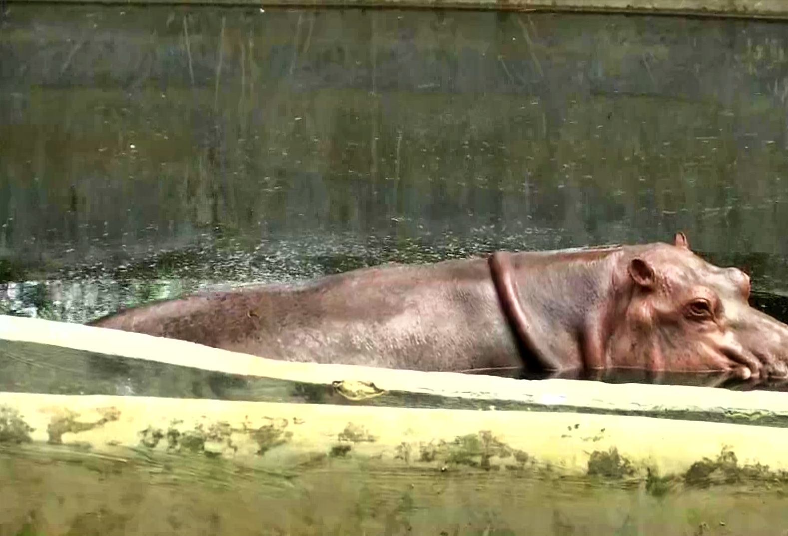 Air cooling system applied for animals in Assam State Zoo cum Botanical Garden