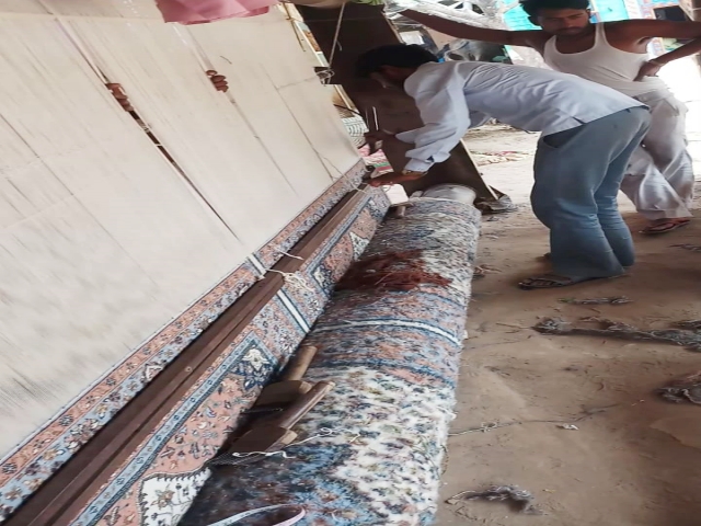 Carpet business, धौलपुर न्यूज