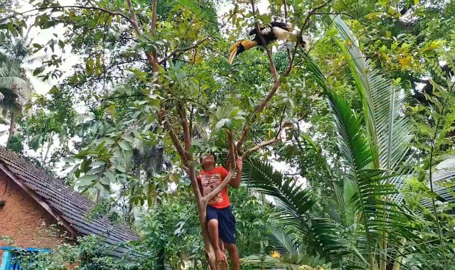 Attachment of a family with Bird