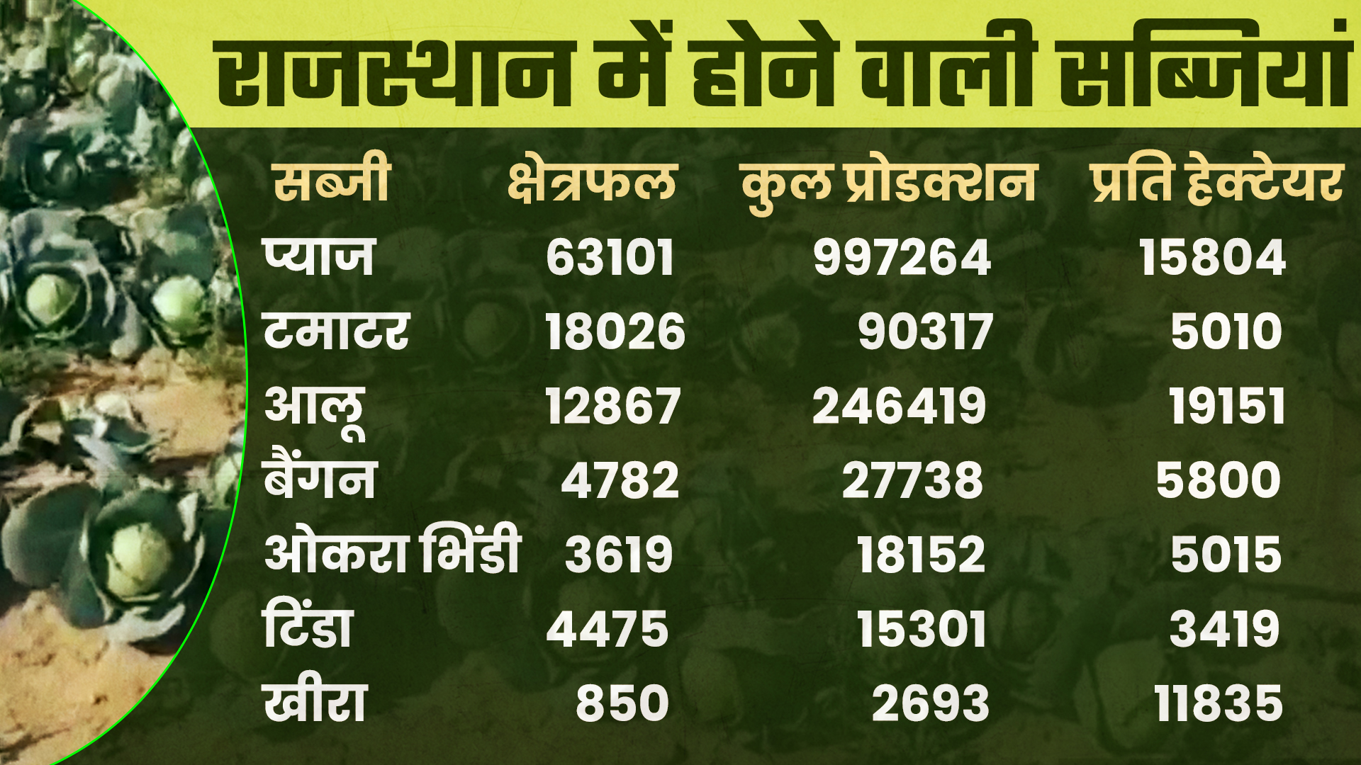 हॉर्टिकल्चर न्यूज, राजस्थान में हॉर्टिकल्चर, किसान की आय, फसलों की गुणवत्ता, राजस्थान में बढ़ा उत्पादन, जयपुर न्यूज, horticulture news, jaipur news, farmers intrested in horticulture, income of farmers, good production of crops, rajasthan crops news