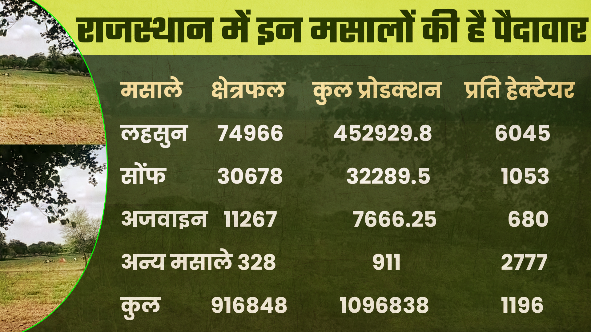 हॉर्टिकल्चर न्यूज, राजस्थान में हॉर्टिकल्चर, किसान की आय, फसलों की गुणवत्ता, राजस्थान में बढ़ा उत्पादन, जयपुर न्यूज, horticulture news, jaipur news, farmers intrested in horticulture, income of farmers, good production of crops, rajasthan crops news