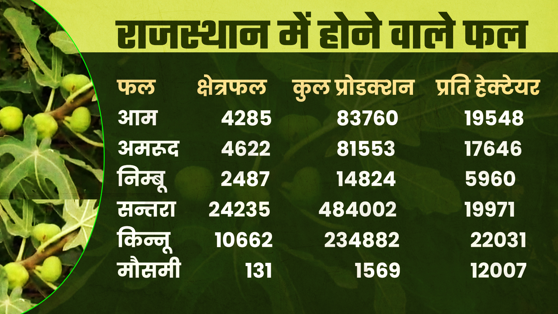 हॉर्टिकल्चर न्यूज, राजस्थान में हॉर्टिकल्चर, किसान की आय, फसलों की गुणवत्ता, राजस्थान में बढ़ा उत्पादन, जयपुर न्यूज, horticulture news, jaipur news, farmers intrested in horticulture, income of farmers, good production of crops, rajasthan crops news