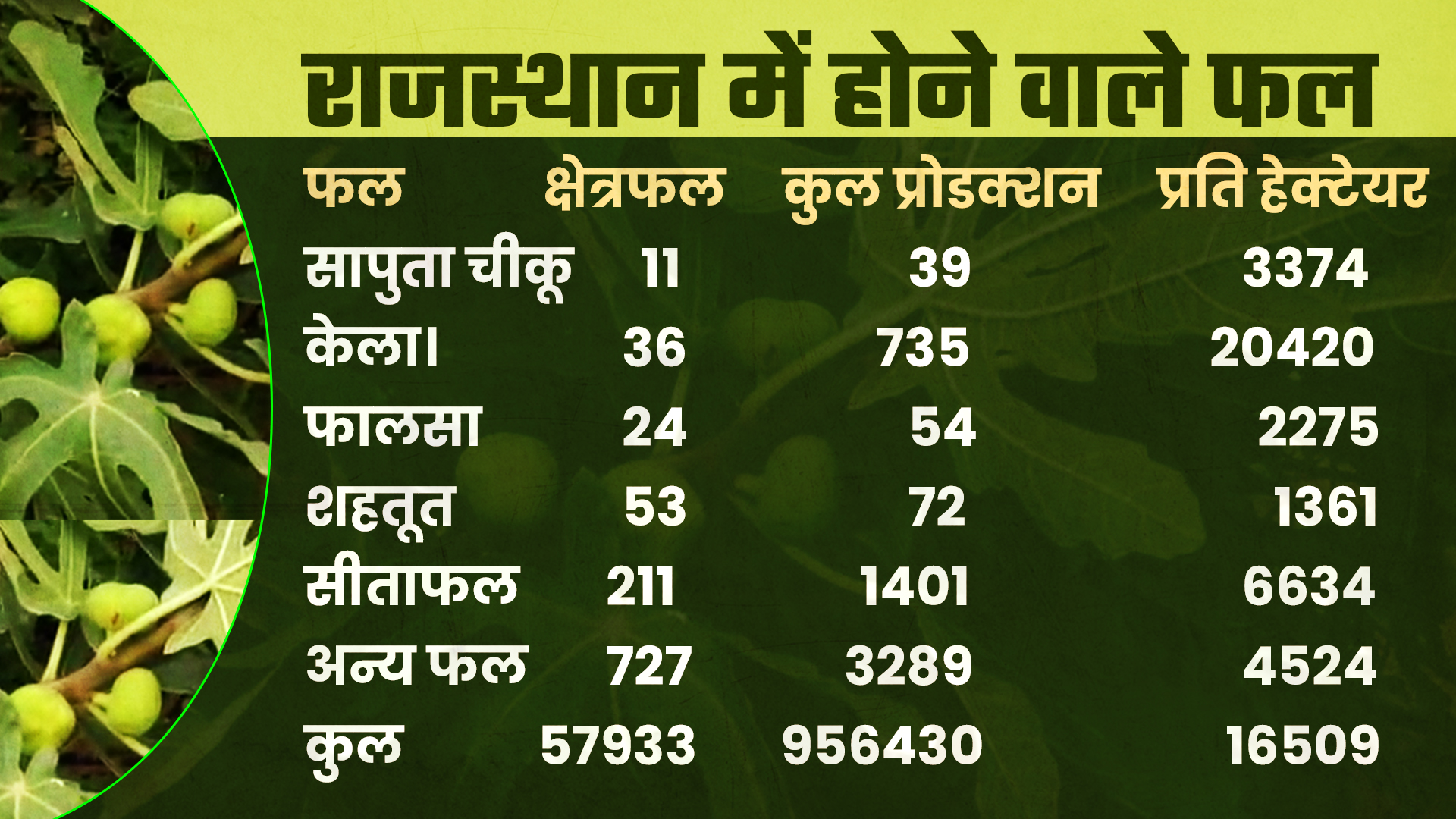 हॉर्टिकल्चर न्यूज, राजस्थान में हॉर्टिकल्चर, किसान की आय, फसलों की गुणवत्ता, राजस्थान में बढ़ा उत्पादन, जयपुर न्यूज, horticulture news, jaipur news, farmers intrested in horticulture, income of farmers, good production of crops, rajasthan crops news