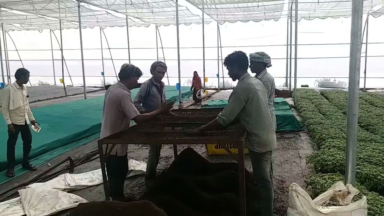 dhar farmer is doing income generating farming