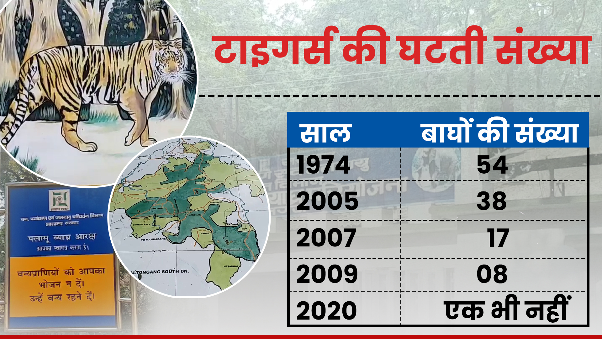 Preservation of tigers in Palamu Tiger Reserve