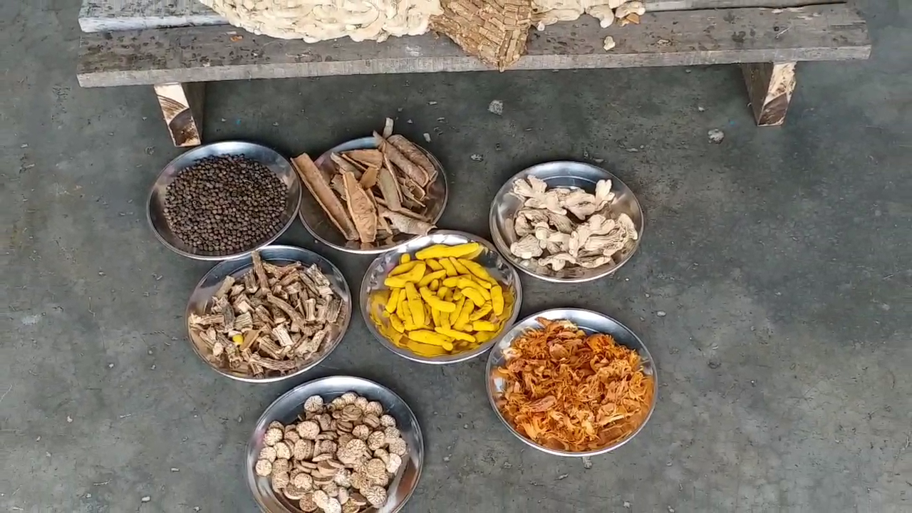 ganesh idol made up of herbs