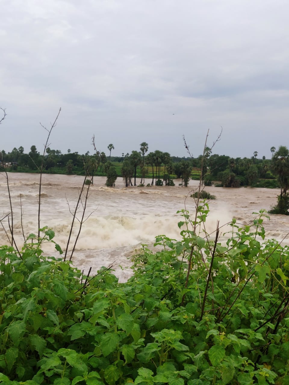 heavy rains effect many places submerged under water in warangal rural district