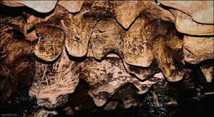 patal-bhuvaneshwar-cave-where-lord-ganesh-chopped-head-fallen-as-per-mythology