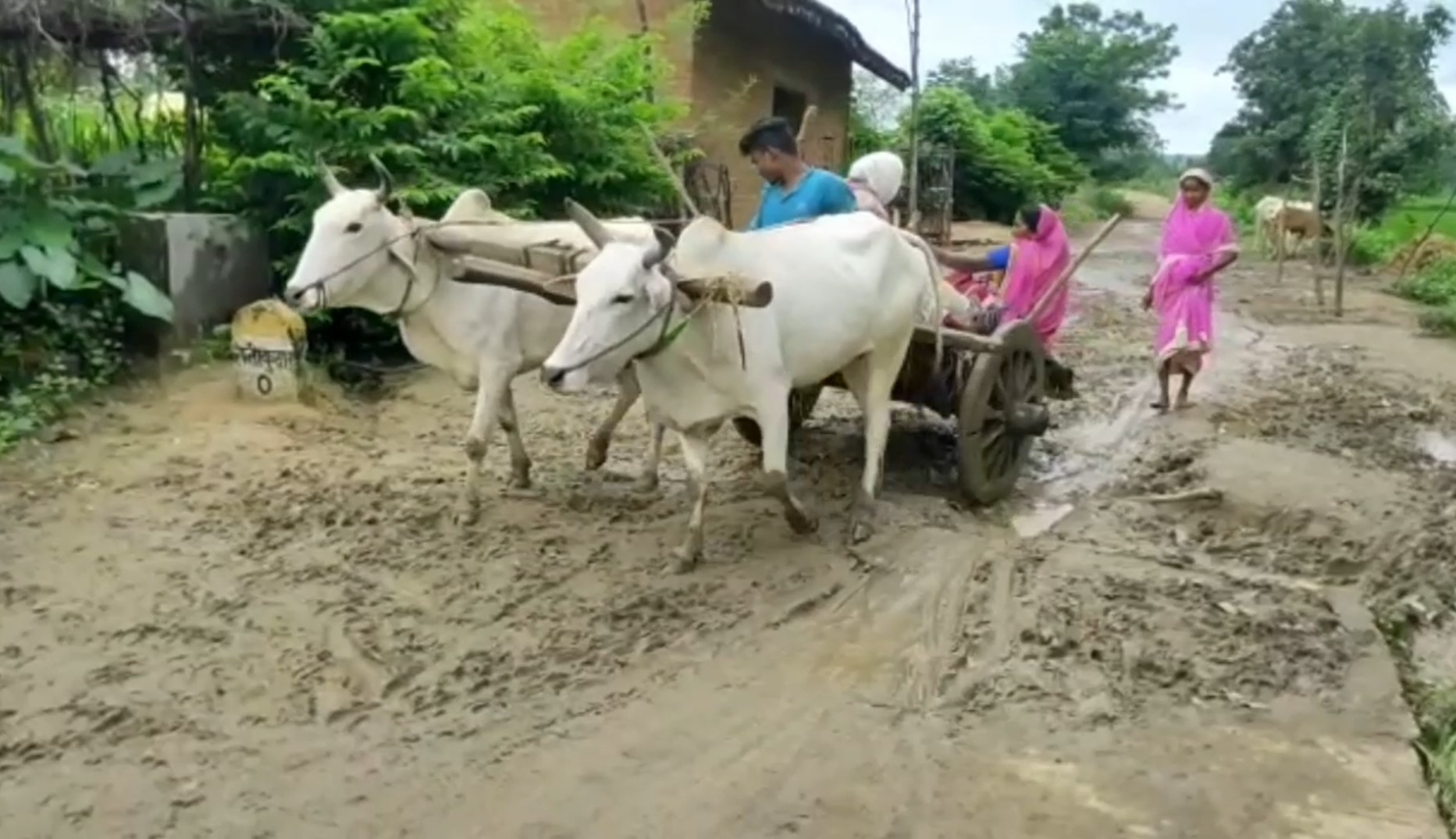 woman-gives-birth-to-child-in-bullock-cart