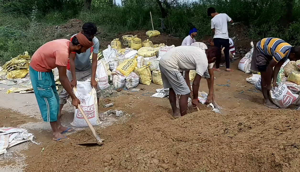 Fazilka: Fissure in canal, water in farmers' crops