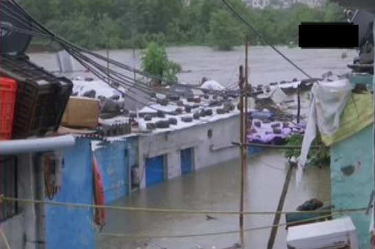 Normal life disrupted in Bhopal's Dam Kheda due to the prevailing flood situation, following heavy rainfall in the area.