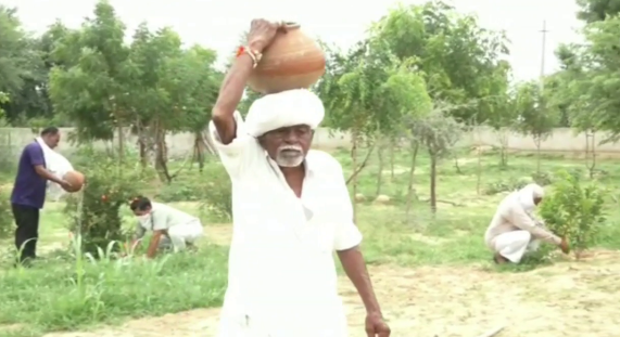 श्मशान घाट में पौधरोपण, Plantation at the crematorium