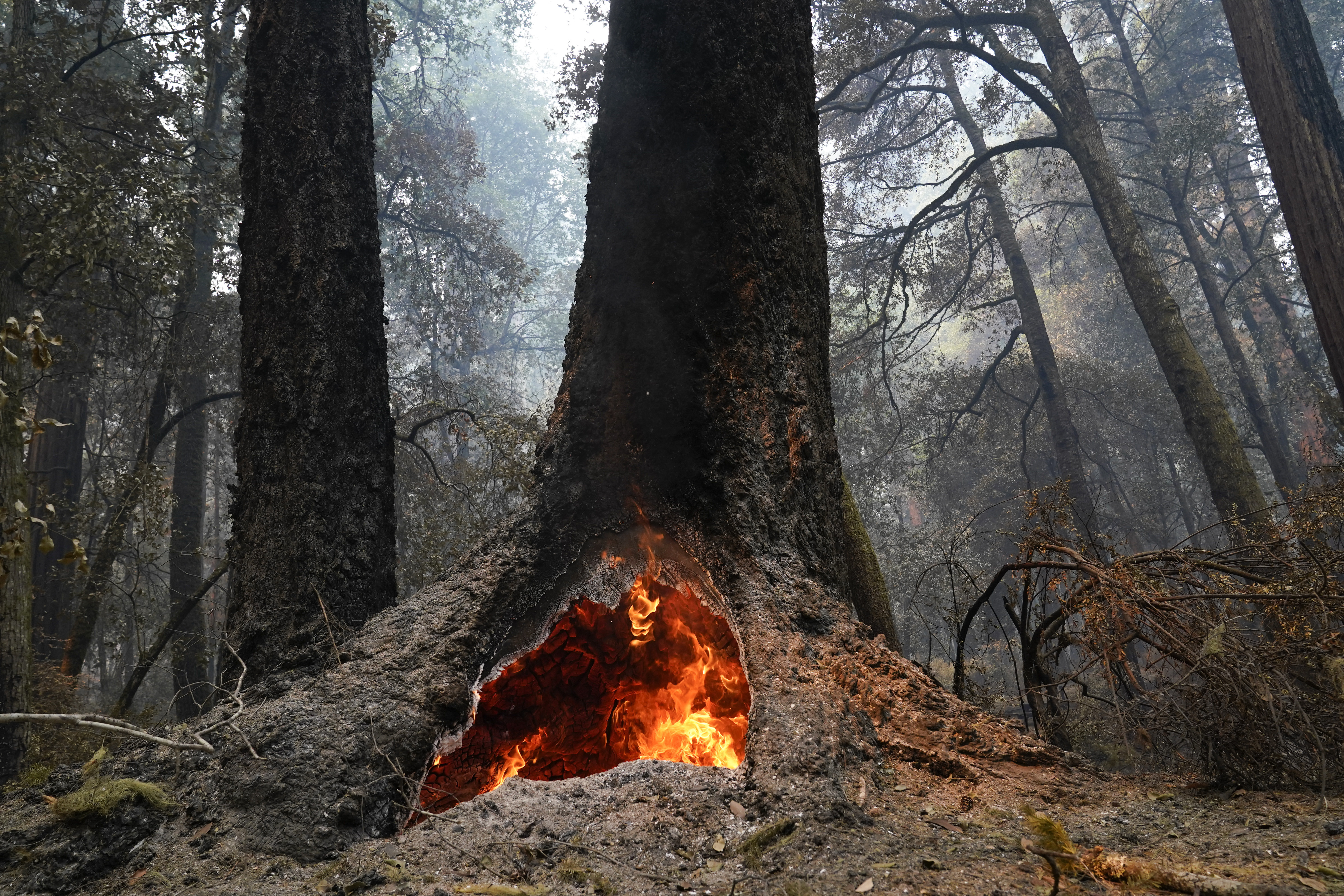 California wildfires