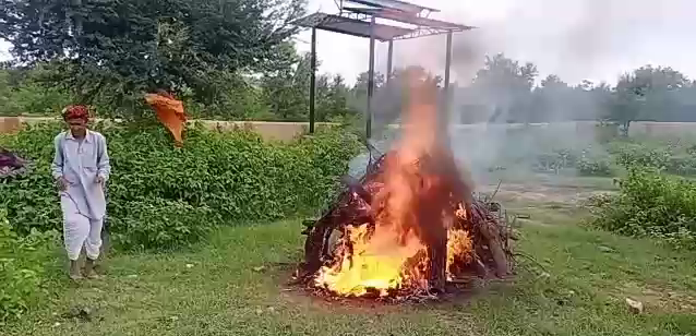 cremation of monkey,  cremation of monkey in chittorgarh