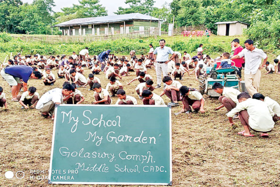 collector shashanka implemented an idea of growing crop in anganwaadi play grounds