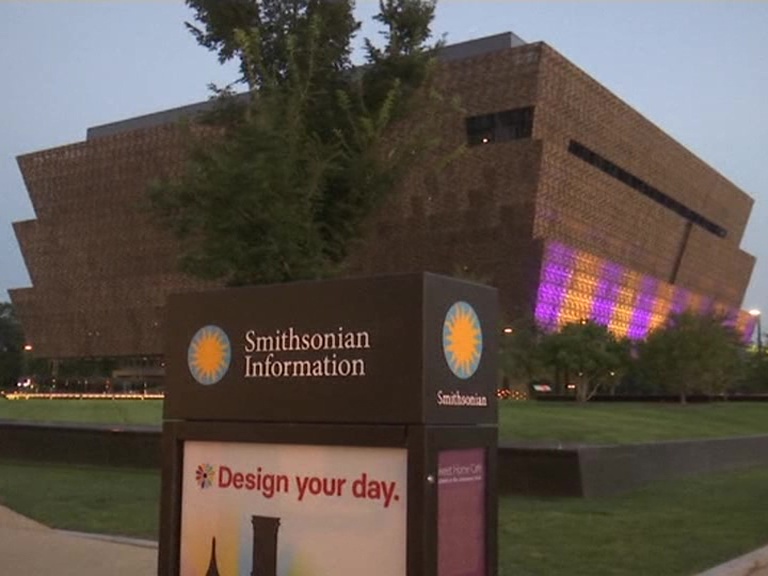 White House painted Purple and Gold for women's suffrage