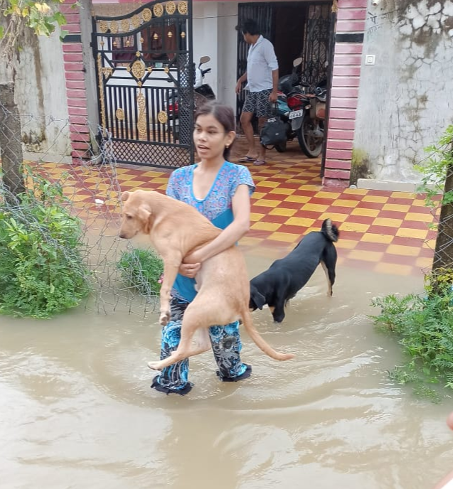 Balodabazar Collector and SP visited flood affected areas