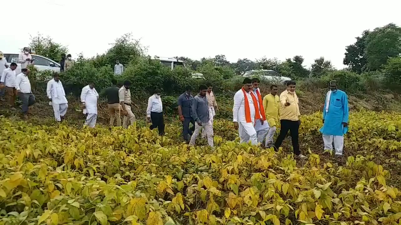 Minister inspecting fields