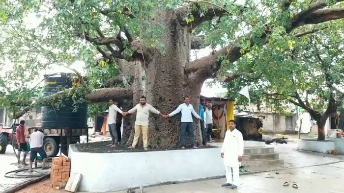 Sitting under the Kalpavriksha fulfills the wishes of the people