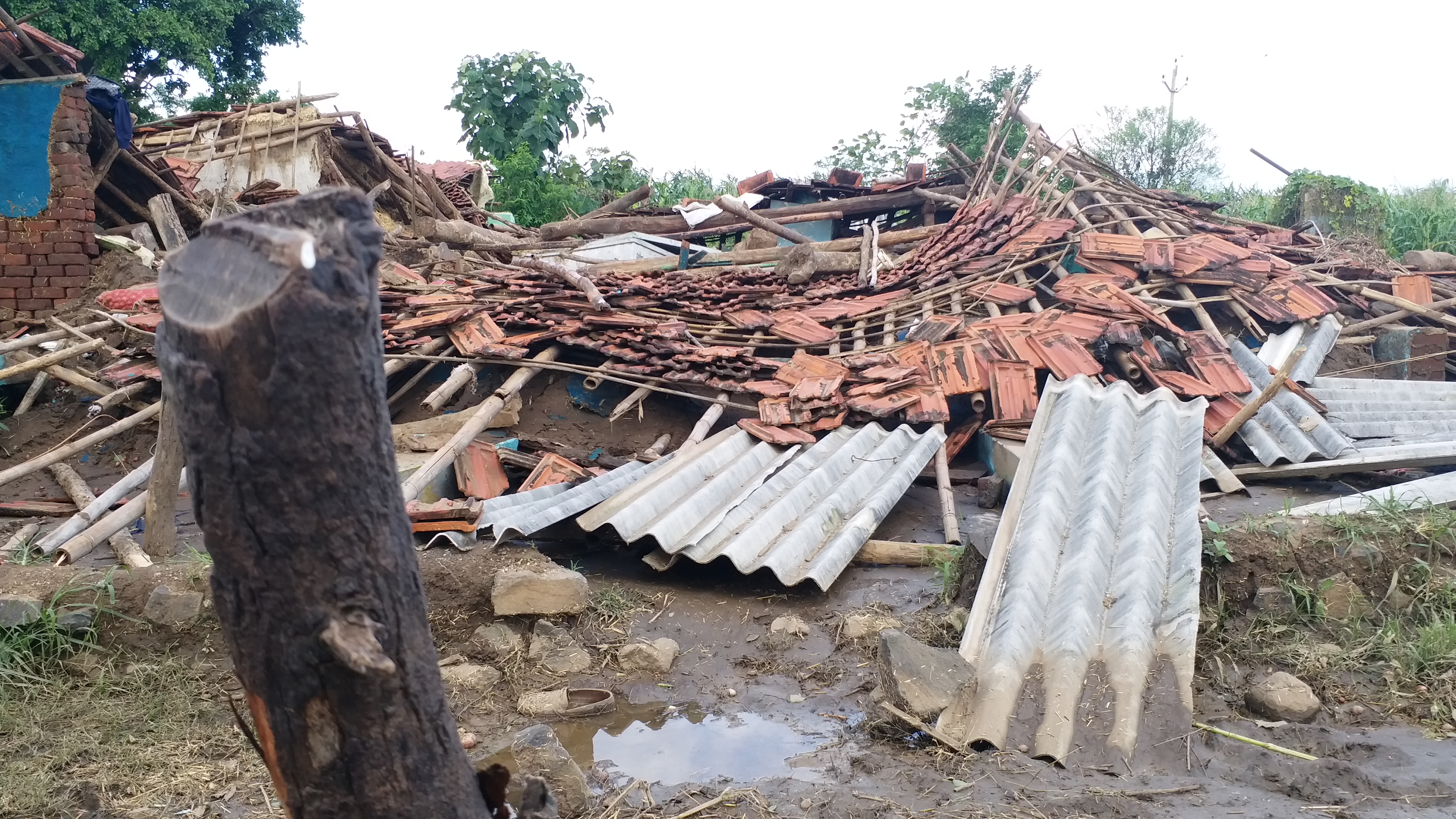 Disaster spread in Chhindwara after rain