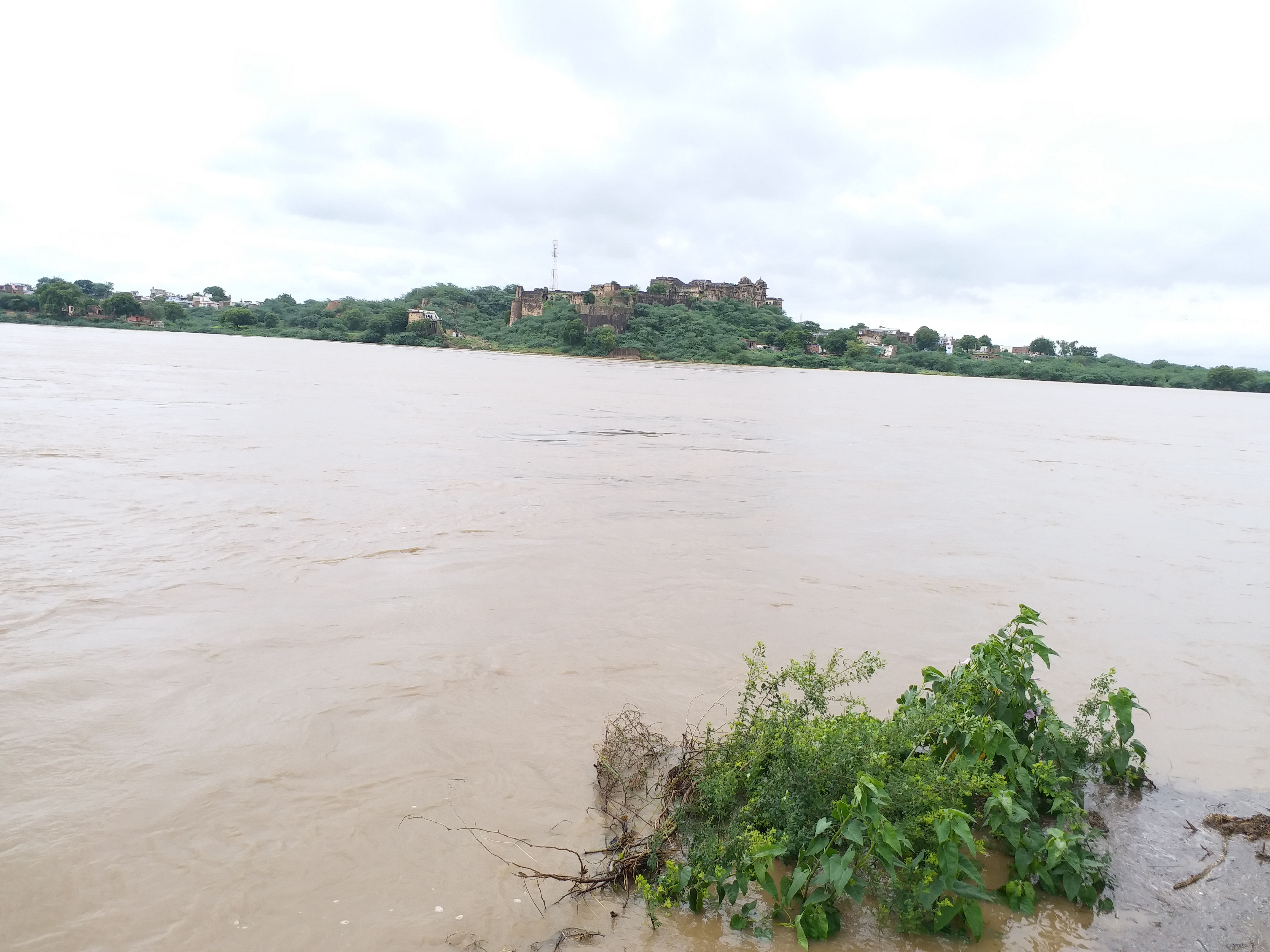 Parvati river above danger mark in Sheopur