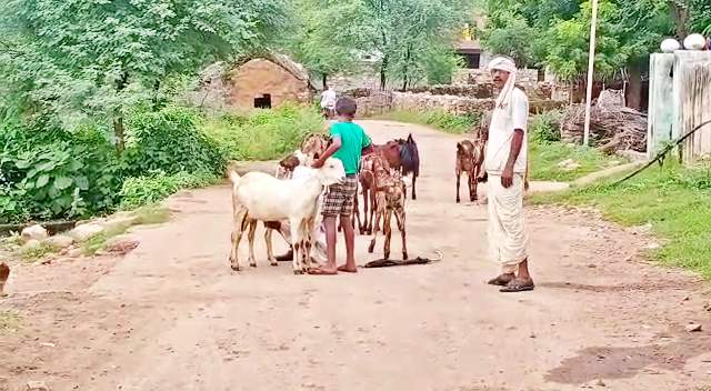 भारत में सूचना क्रांति  सूचना का आदान प्रदान  बढ़ती हुई टेक्नोलॉजी  भारत में टेक्नोलॉजी  क्या है डिजिटल इंडिया प्रोग्राम  dausa news  etv bharat news  modi government  digital india program  what is digital india program  technology in india  increasing technology  digital india program in india