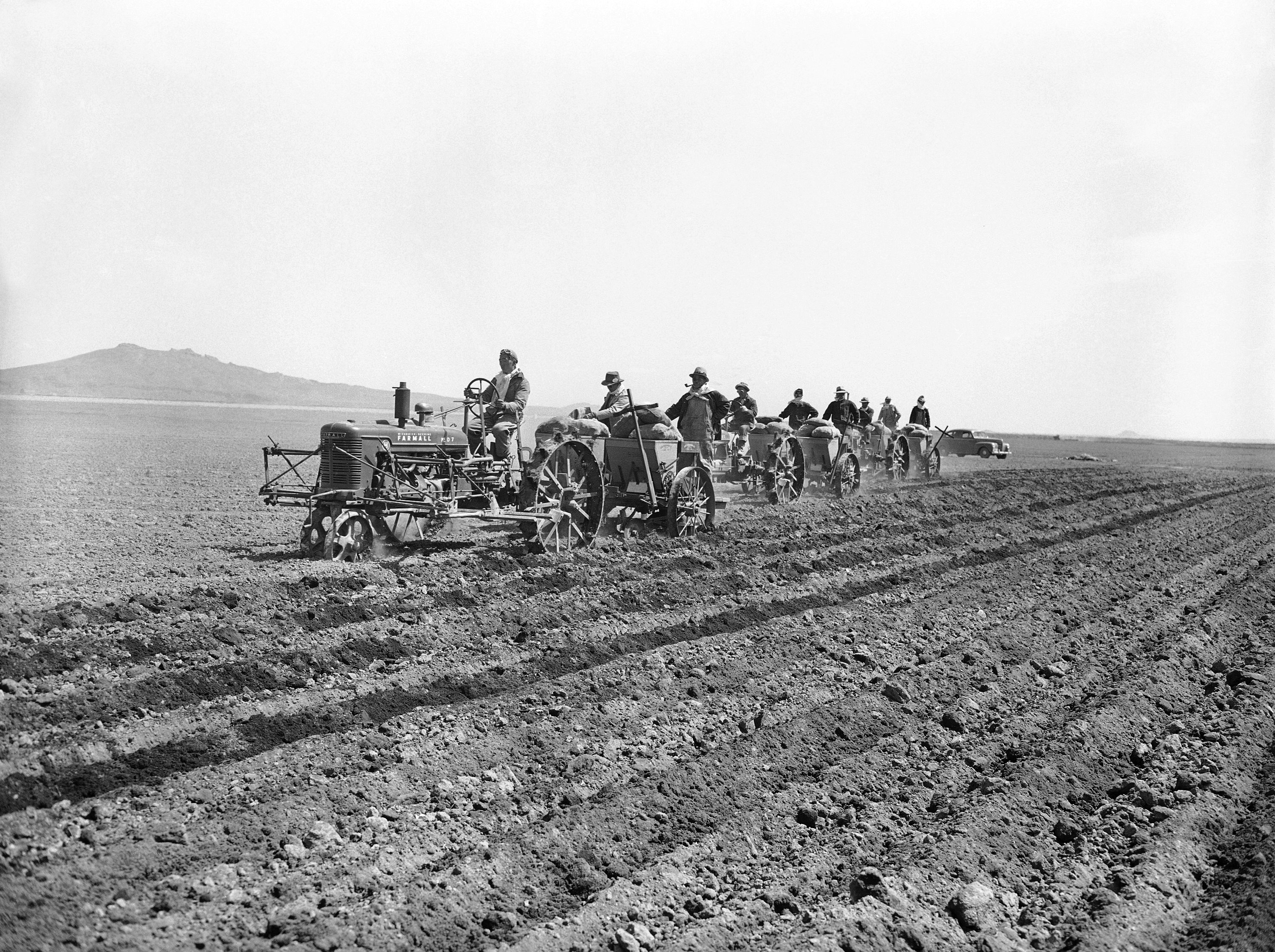 Using light tractors, Japanese residents of their Relocation Center at Tule Lake California, begin planting potatoes in the several hundred acres of fertile soil of reclaimed old Tule Lake. (File)