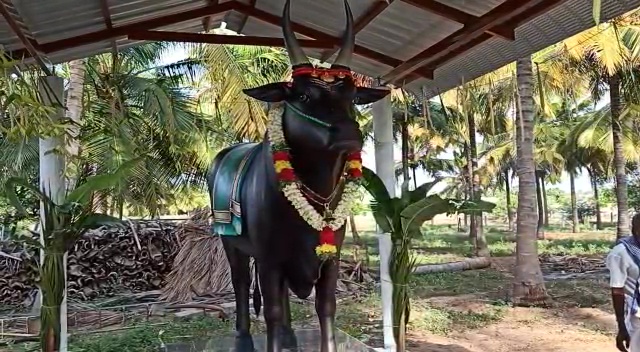 Tamil Nadu farmer erects a statue for his beloved bull