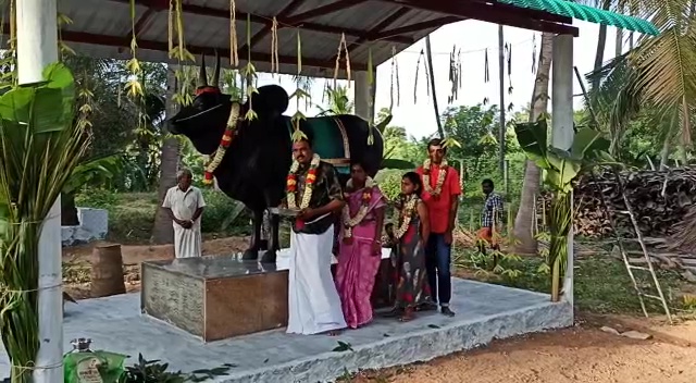 Tamil Nadu farmer erects a statue for his beloved bull