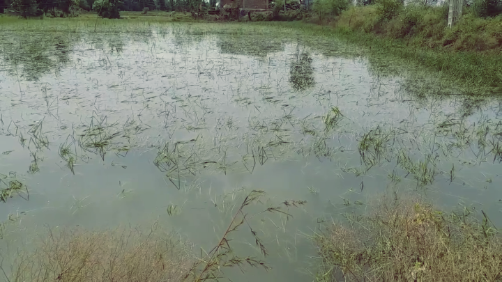 Flood water filled in fields