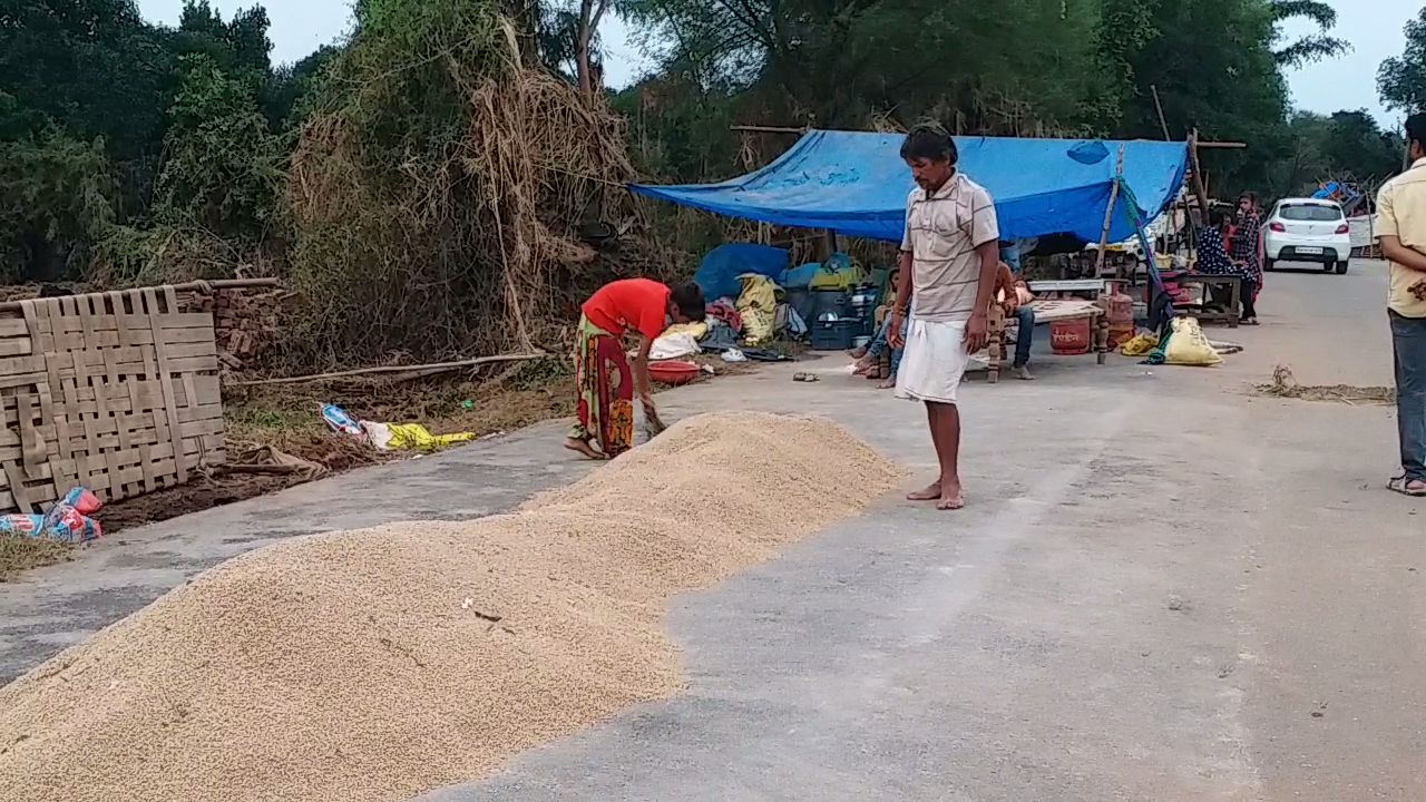 Hoshangabad after the flood