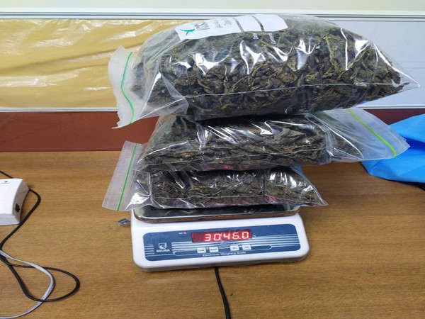 three-kilograms-of-marijuana-seized-in-kannur-international-airport-one-arrested