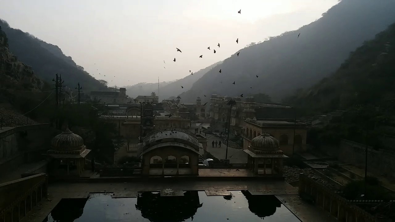 श्राद्ध पक्ष में कौवों का महत्व,  Importance of Crows in Shraddha Paksha,  Crows are fading from Jaipur