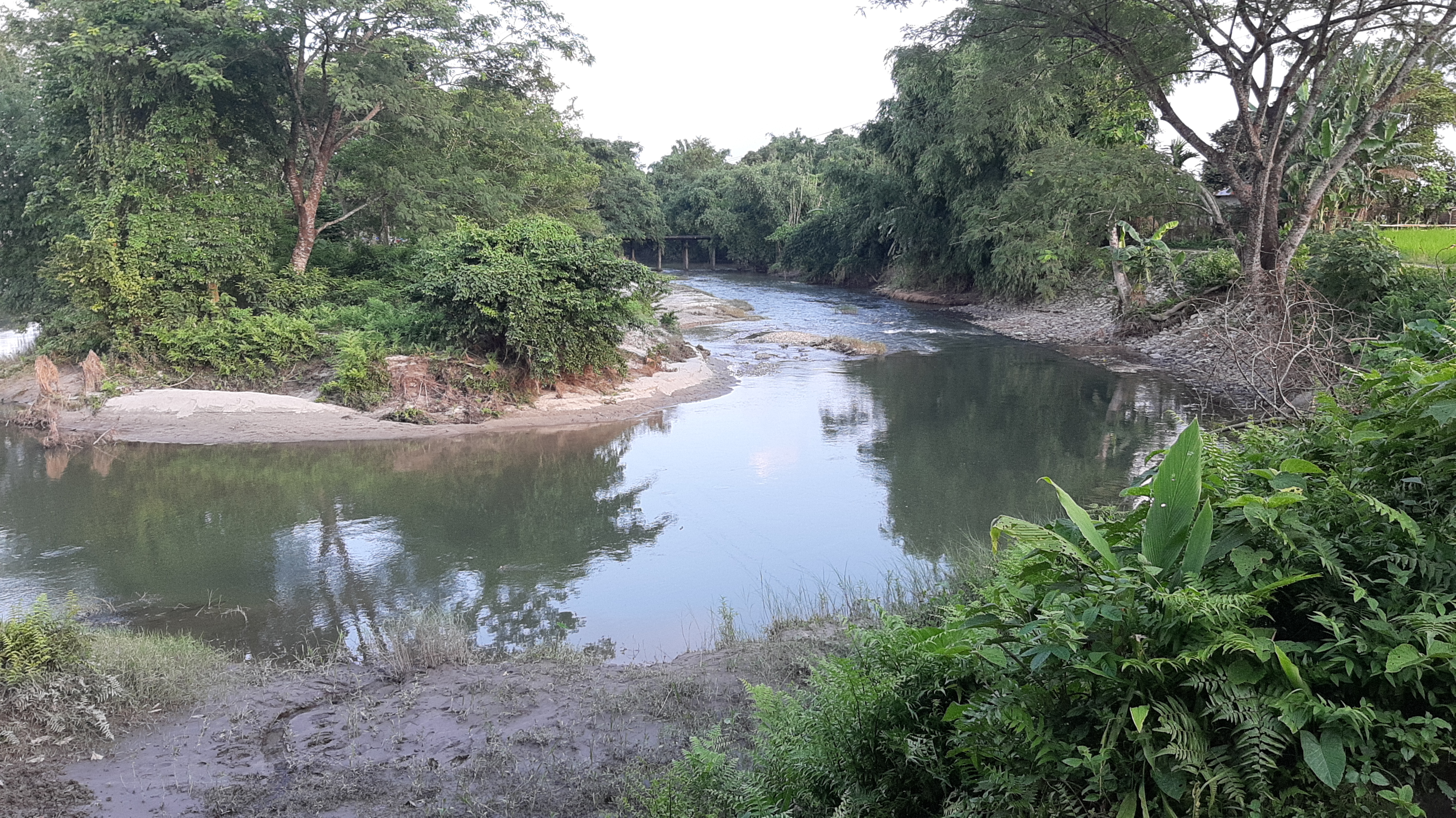 Broken Bridge deprive area in Chirang assam etv bharat news