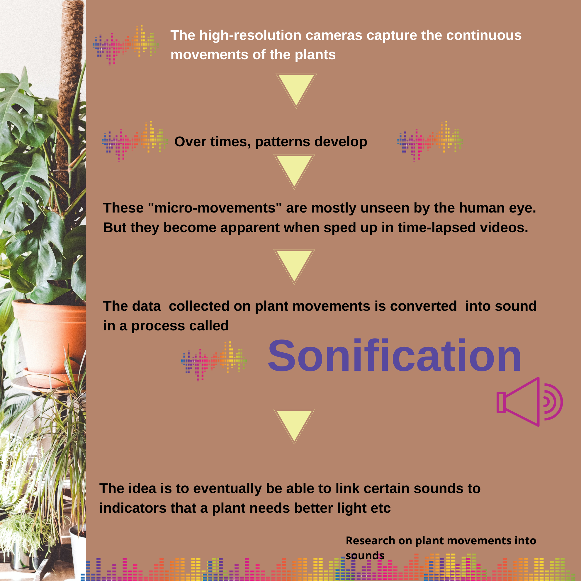 plant pathology virginia tech ,'the sound of plants dancing