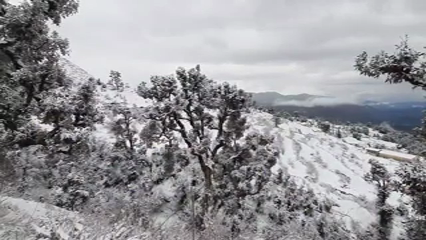 उत्तराखंड