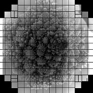 LSST Camera , Rubin Observatory