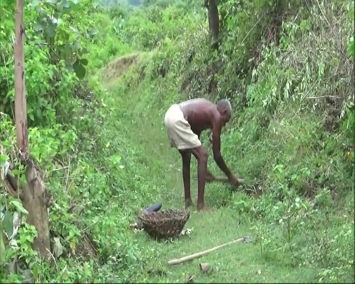 Man in Gaya carves out 3 km long canal to irrigate parched fields