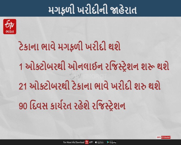 રાજ્યમાં ટેકાના ભાવે 1 ઓક્ટોબરથી ઓનલાઈન રજિસ્ટ્રેશન શરૂ થશે, 21થી ખરીદી થશે