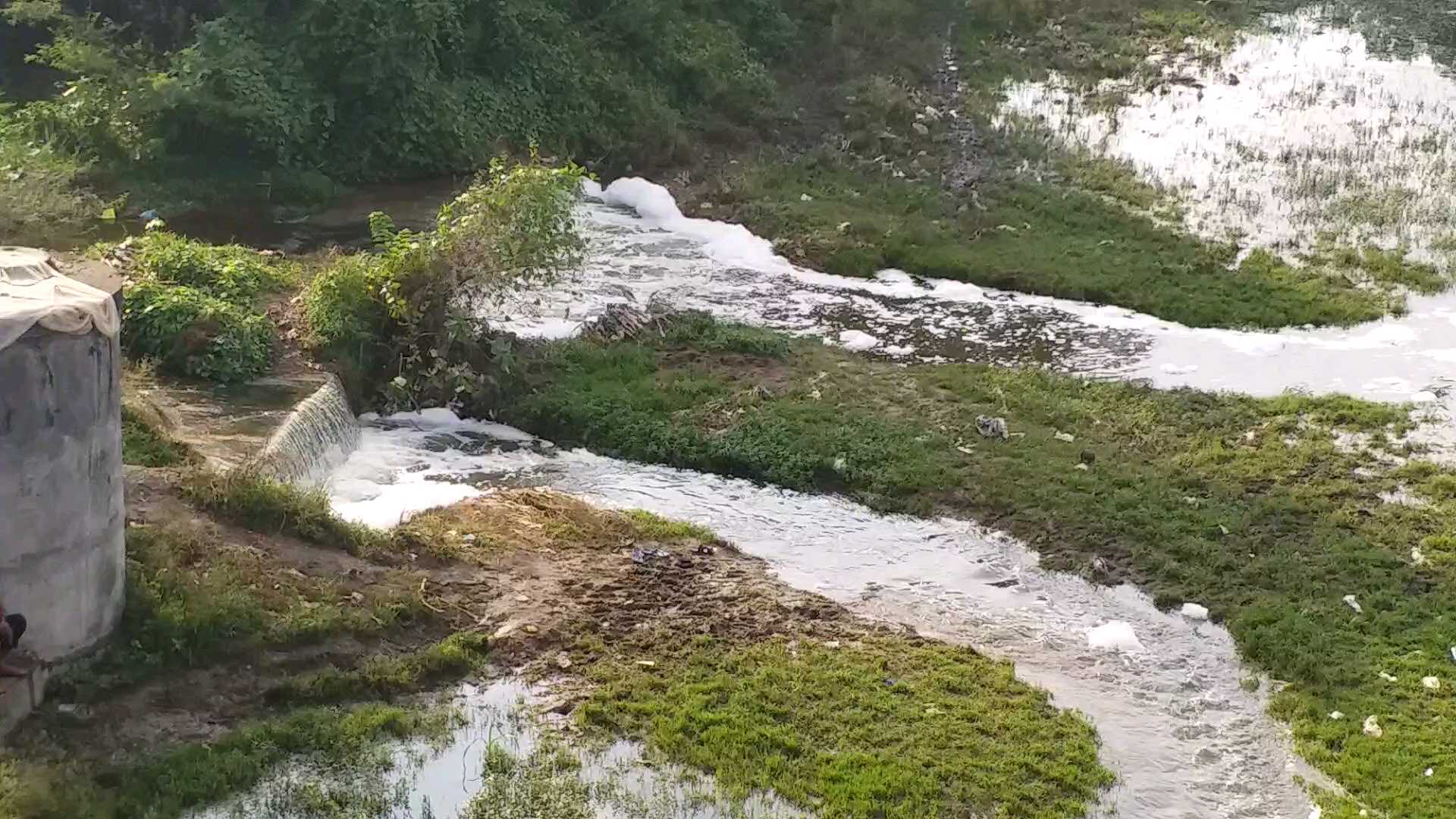 udaipur lakes are getting contaminated,  sewerage water in lakes